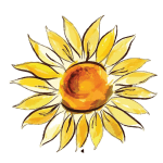 girasoli stars