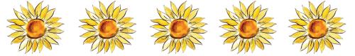 girasoli stars